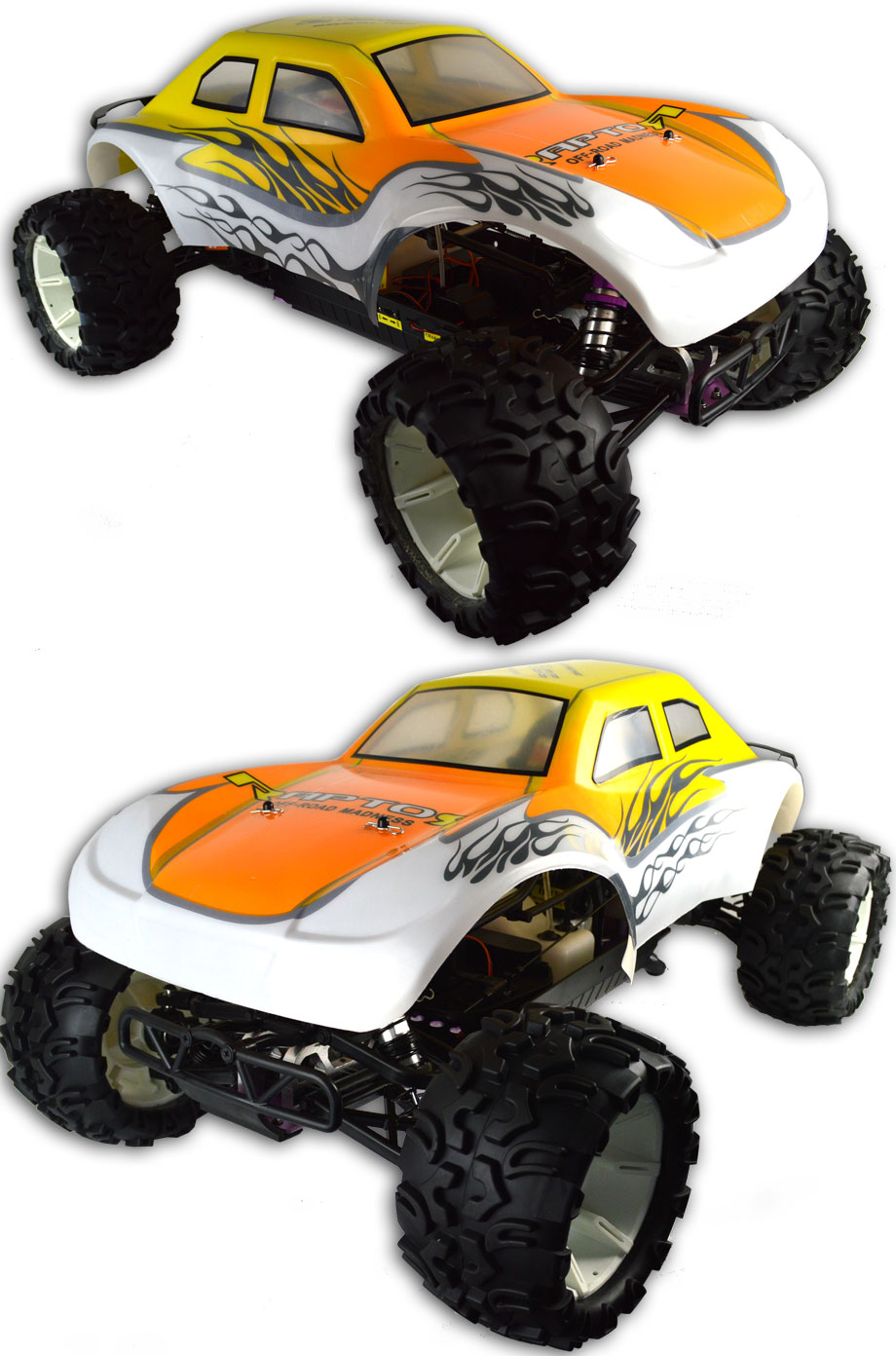 Orange Shell